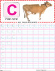 Capital Letter Writing Practice Worksheet