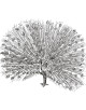 Peacock Coloring Page