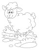 Sheep Coloring Page