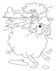 Sheep Coloring Page