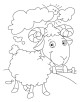 Sheep Coloring Page