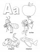 Learn Letters of the Alphabet With 5 Picture