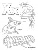 My A to Z Coloring Book Letter X coloring page