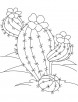 Desert cactus coloring page