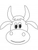 Cute cow face coloring page