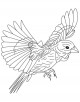 Grosbeak Bird Coloring Page