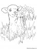 Easter lamb coloring page