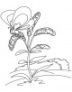 Goldenrods Coloring Page