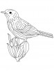 Goldfinch sitting on flower coloring page