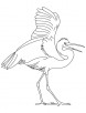 Great egret bird coloring page