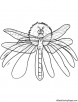 Yellow winged dragonfly coloring page