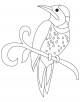 Alabama State Coloring Page