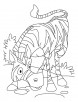 African zebra coloring pages