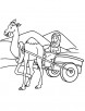 An Arabian on camel cart coloring page
