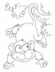 Playing ape coloring pages