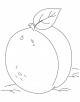 Apricot Coloring Page