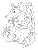 The chuimui armadillo coloring pages