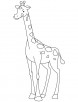 Baby giraffe coloring page