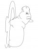 Baby hippo coloring page