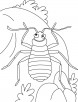 Bed bug recite, all earth mine coloring pages