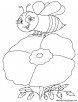 Bee on poppy coloring page