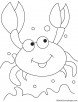 Billy crab coloring page