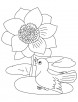 Bird talking with flower coloring page