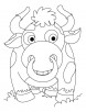 Newly wed Bison coloring pages