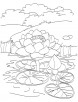 Blooming lotus in pond coloring page