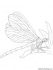 Brown hawker coloring page