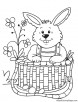 Bunny in the basket coloring page