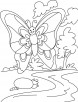 Butterfly waving in sky coloring pages