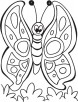 The queen butterfly coloring pages