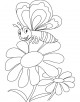Daisy Flower Coloring Page