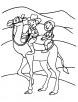Camel riding coloring page