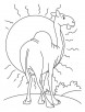 Camel standing before the sun coloring page