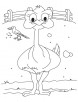 Cartoon ostrich in a farm house coloring page