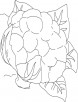 Cauliflower in field coloring page