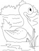 Champion duck coloring page