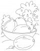 Chickoo Coloring Page
