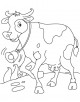 Cows Coloring Page