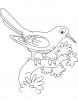 Resting cuckoo bird coloring page