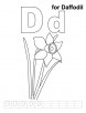 D for daffodil coloring page with handwriting practice 
