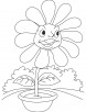 Angry daisy flower coloring page