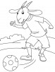 Domestic goat coloring page