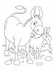 Donkey and Foal coloring page