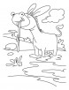 Donkey quenching thirst coloring page