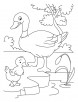 Duck and Duckling coloring page