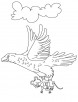 Eagle with its prey coloring page