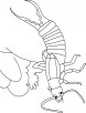 Earwig-what you dig coloring pages